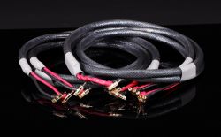 - Acoustic Zen EPOCH SHOTGUN biwire - autoryzowany dealer w Warszawie tel. 22 825 30 90 , dogodne raty, dostawa i instalacja gratis