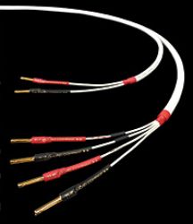  - KABEL GŁOŚNIKOWY CHORD RUMOUR 2 1mb  - autoryzowany dealer w Warszawie tel. 22 825 30 90 , dogodne raty, dostawa i instalacja gratis